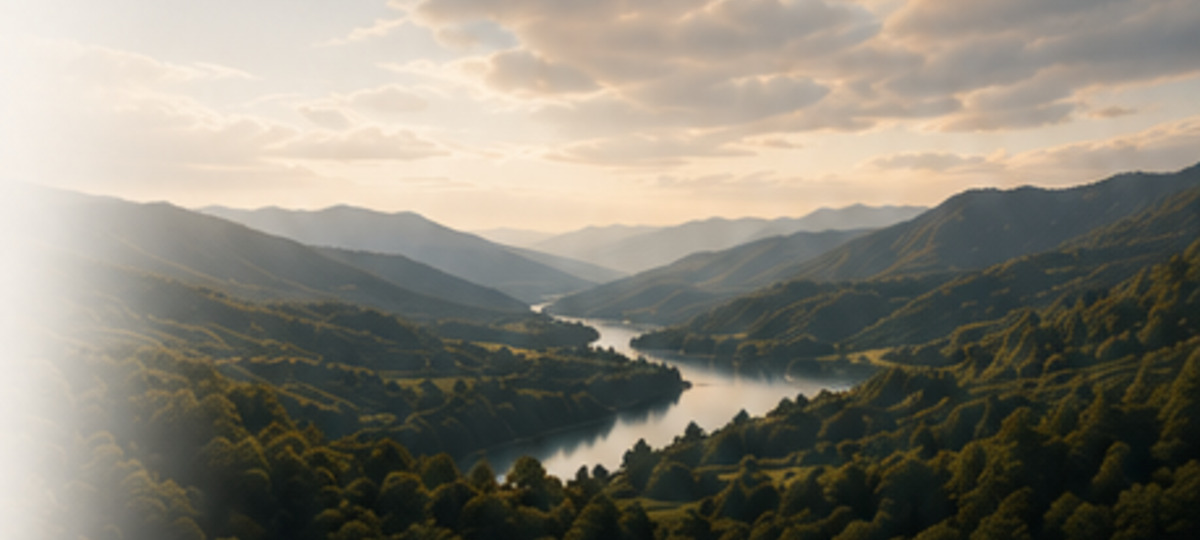 Carpathian forest valley